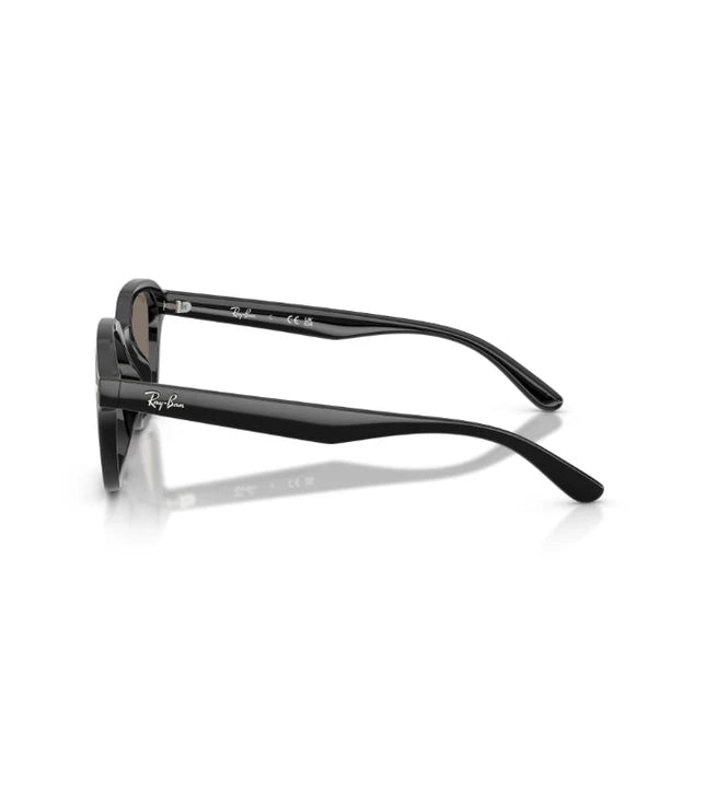 Ray-Ban RB4458D Designer Sunglasses