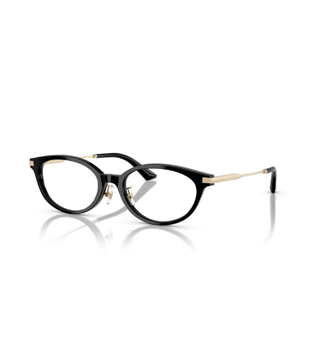 Eyeglasses