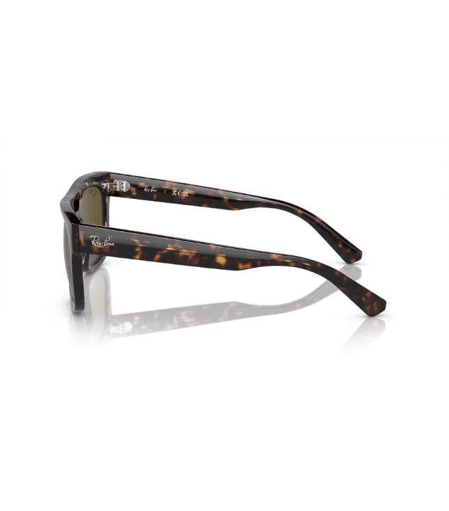 Ray-Ban Phil RB4426 Designer Sunglasses
