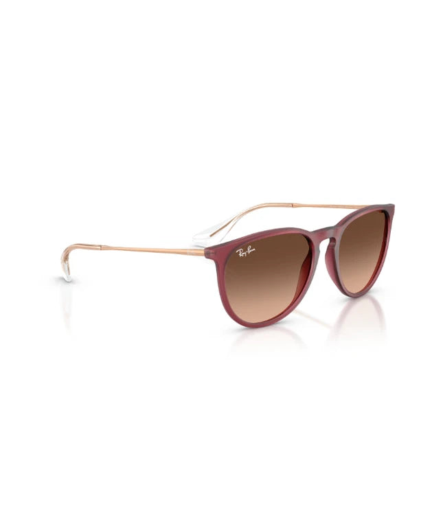 Ray-Ban Erika RB4171 Designer Sunglasses