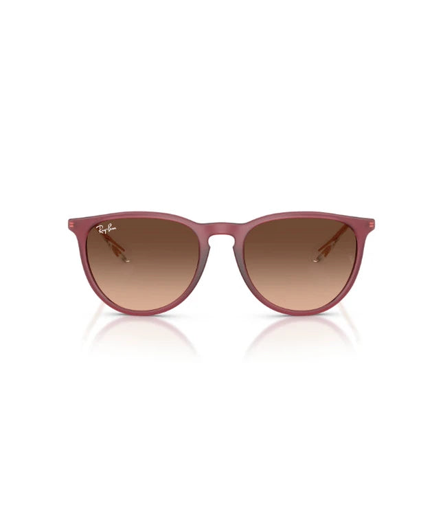 Ray-Ban Erika RB4171 Designer Sunglasses