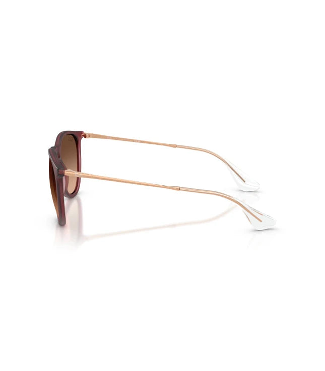 Ray-Ban Erika RB4171 Designer Sunglasses