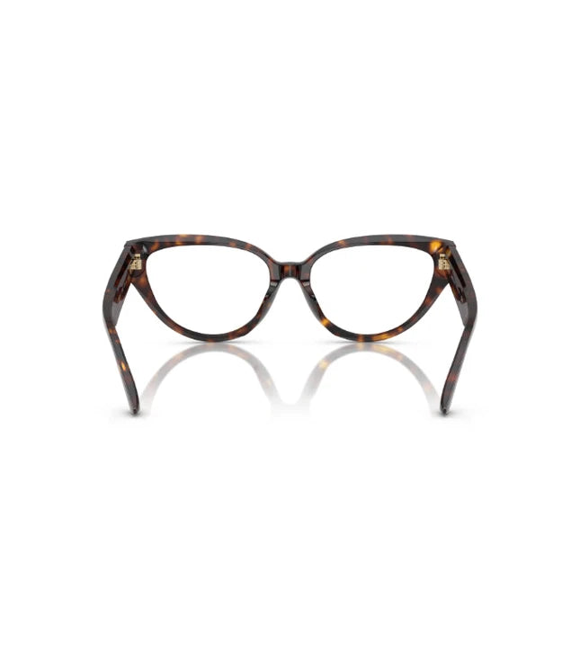 Eyeglasses