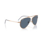 Ray-Ban Aviator Reverse RBR0101S Designer Sunglasses