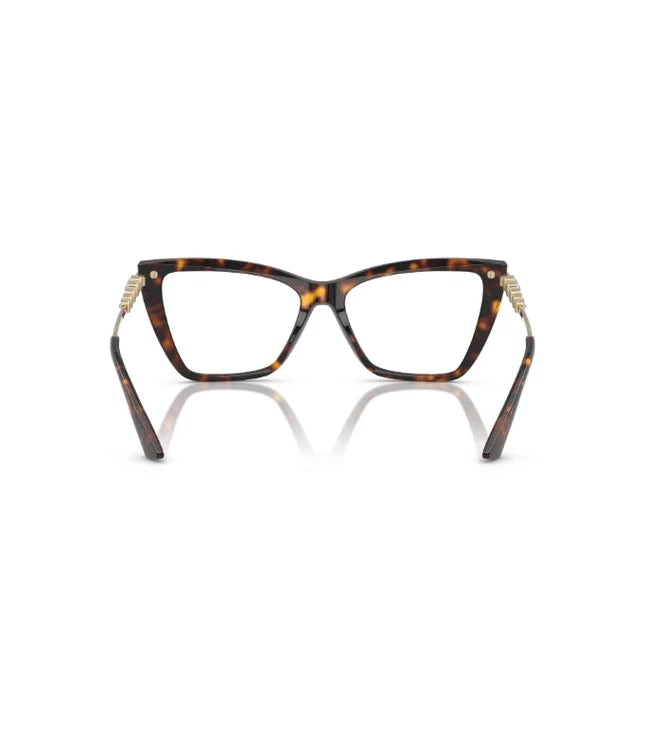 Eyeglasses