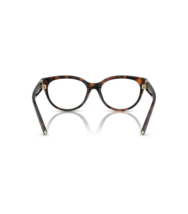 Eyeglasses
