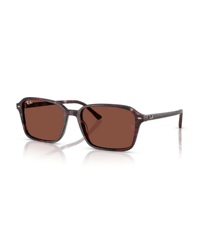 Ray-Ban Raimond RB2231 Designer Sunglasses