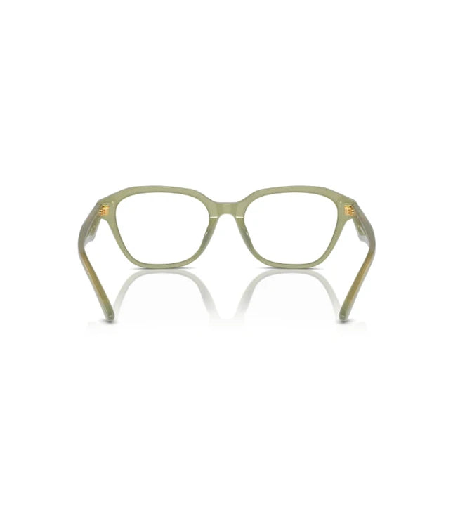 Eyeglasses