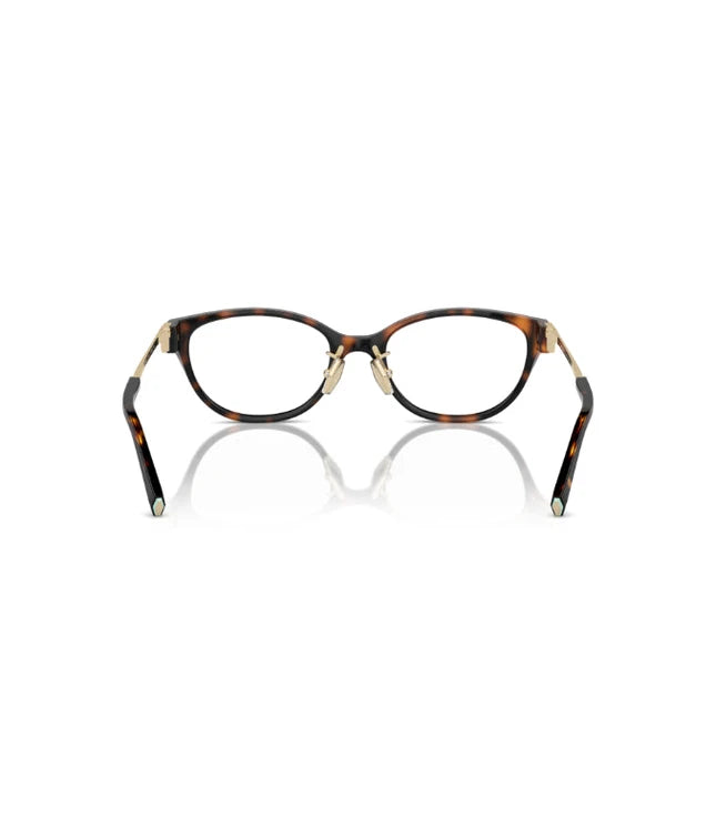 Eyeglasses