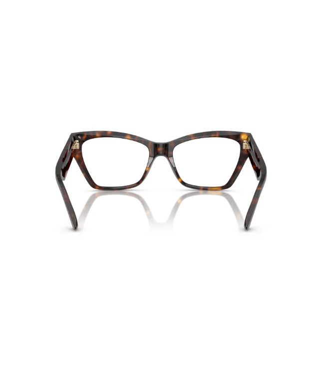 Eyeglasses