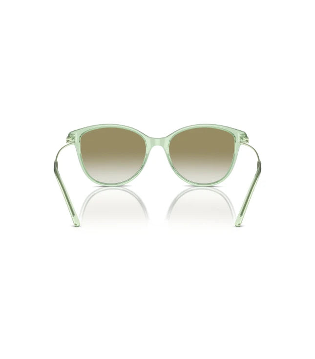 Eyeglasses