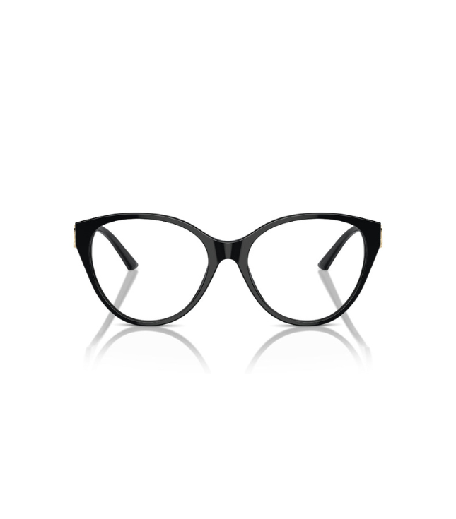 Eyeglasses