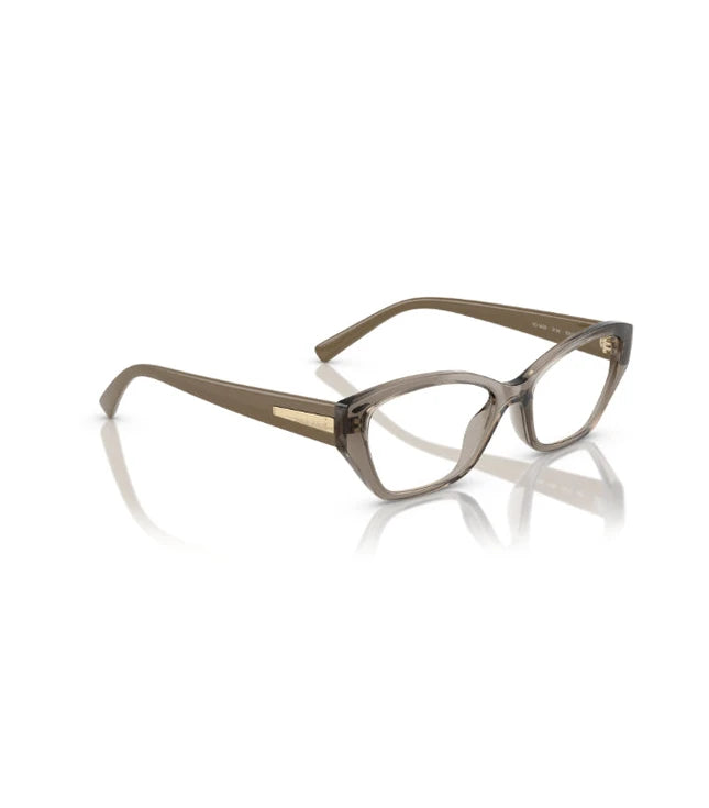 Eyeglasses