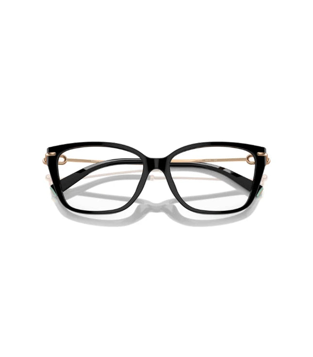 Eyeglasses