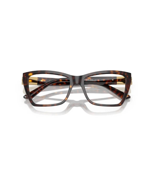 Eyeglasses
