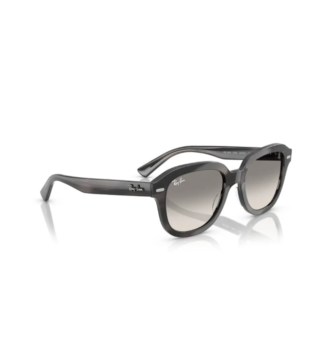 Ray-Ban Erik RB4398 Designer Sunglasses