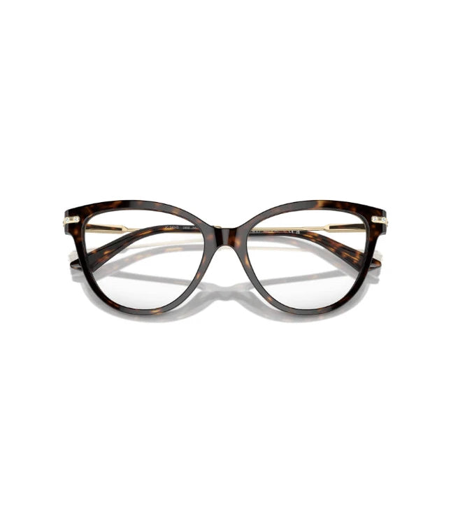 Eyeglasses