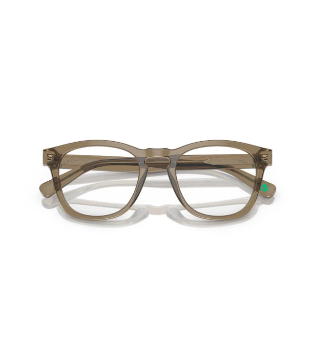 Eyeglasses