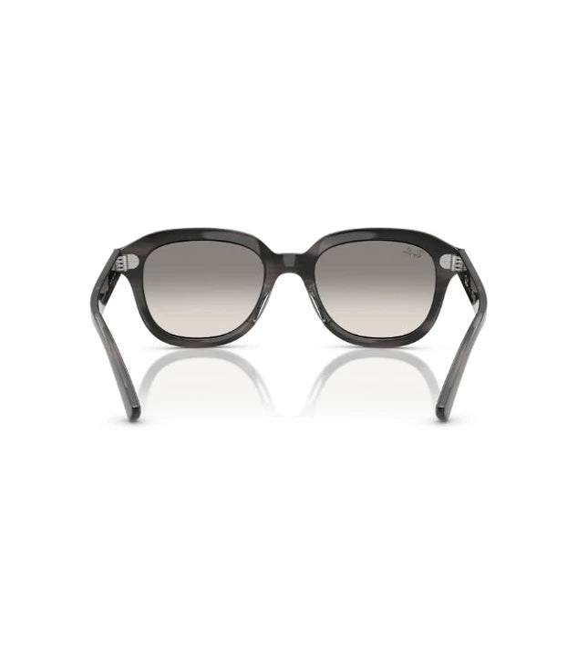 Ray-Ban Erik RB4398 Designer Sunglasses