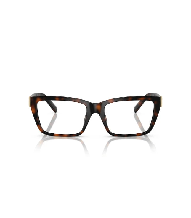 Eyeglasses