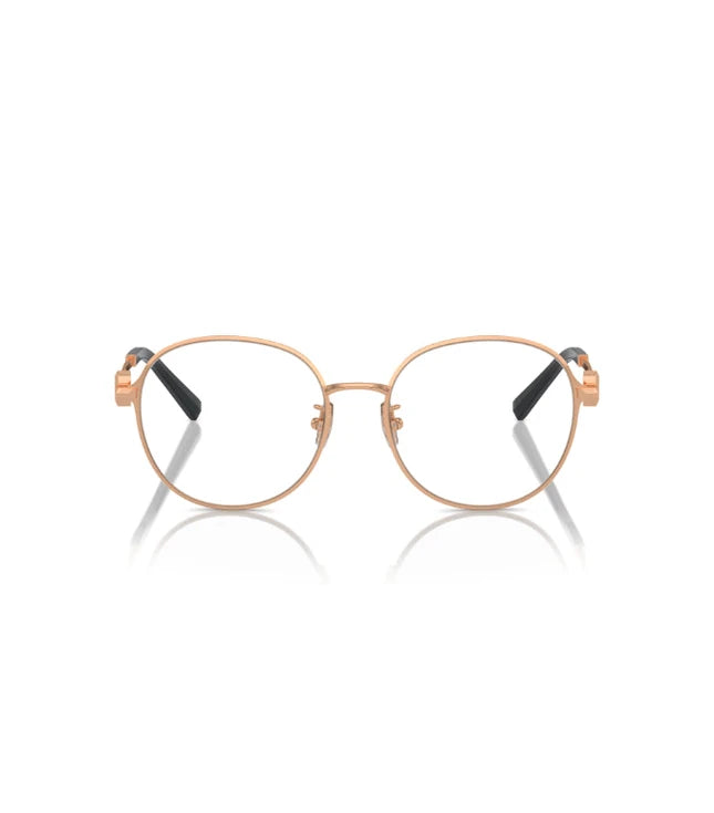 Eyeglasses