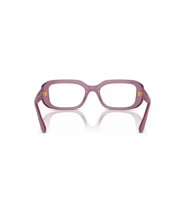 Eyeglasses
