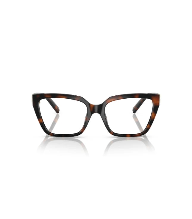 Eyeglasses