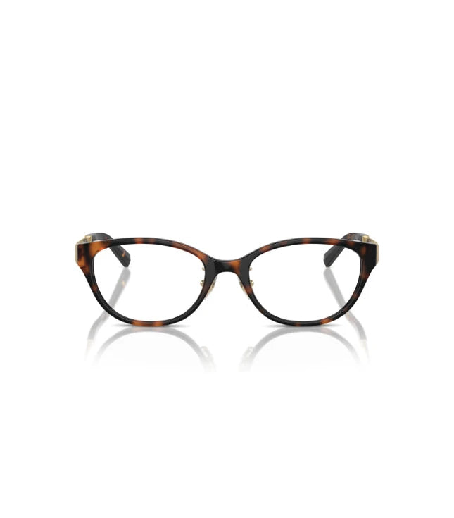 Eyeglasses