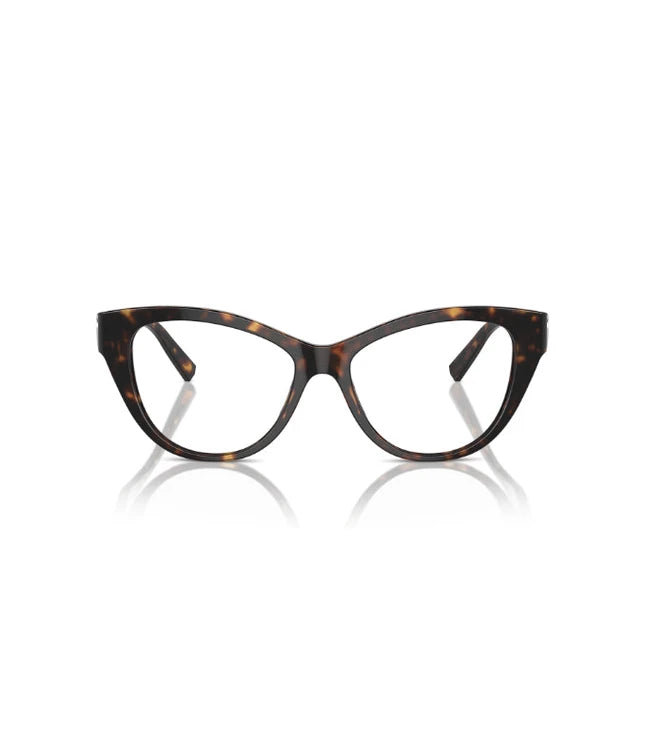 Eyeglasses