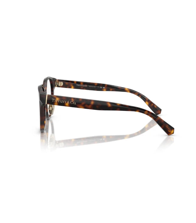 Eyeglasses