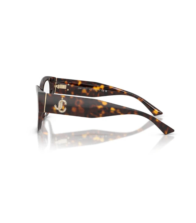 Eyeglasses
