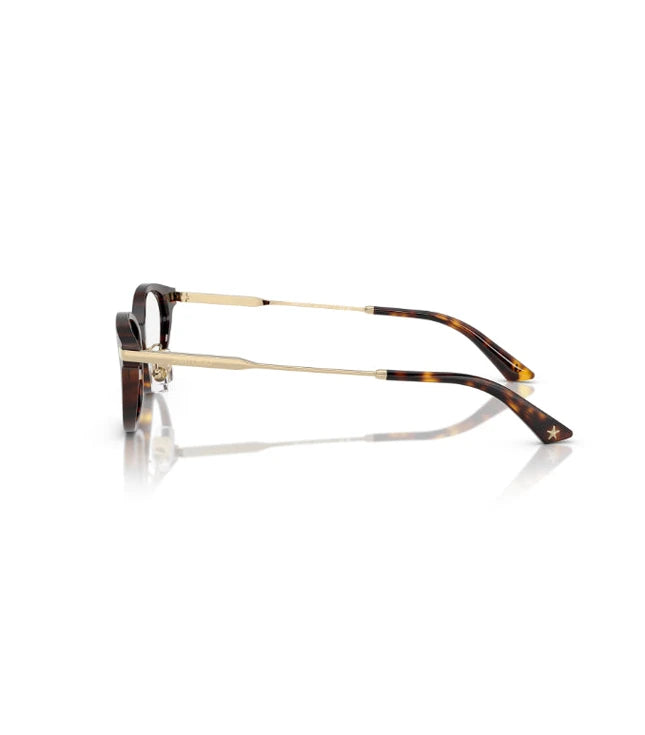Eyeglasses