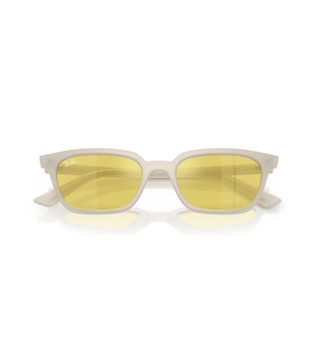 Ray-Ban Zaya RB4456 Designer Sunglasses