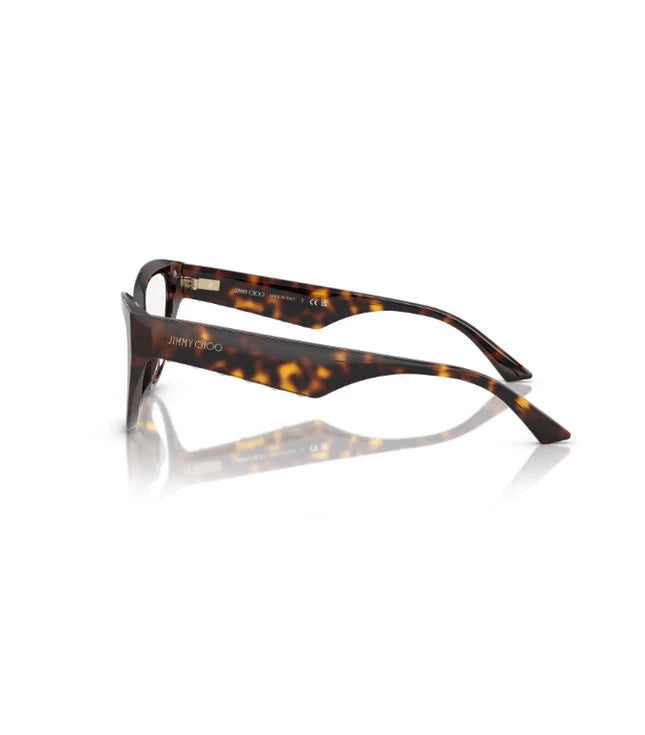 Eyeglasses