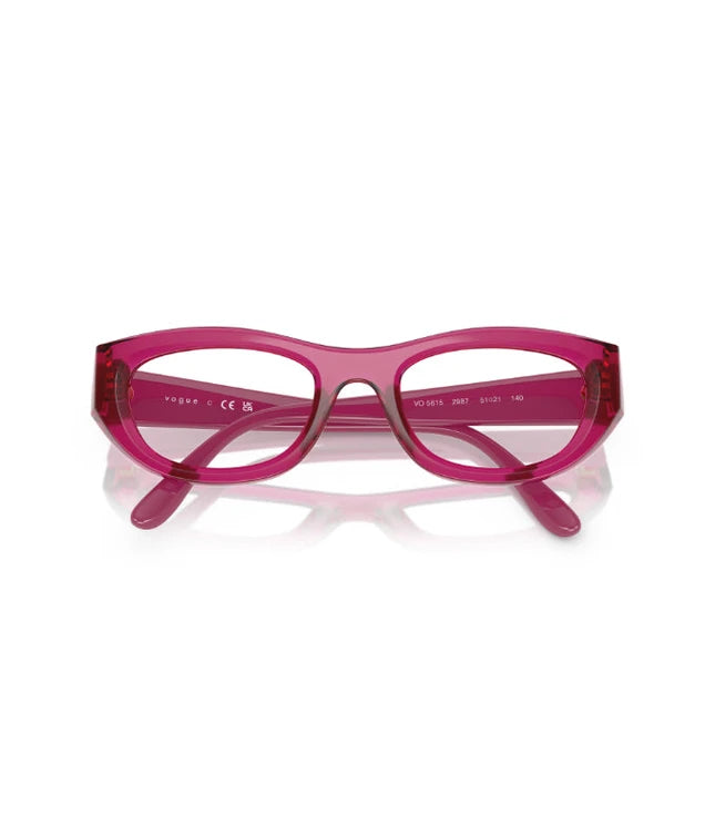 Eyeglasses