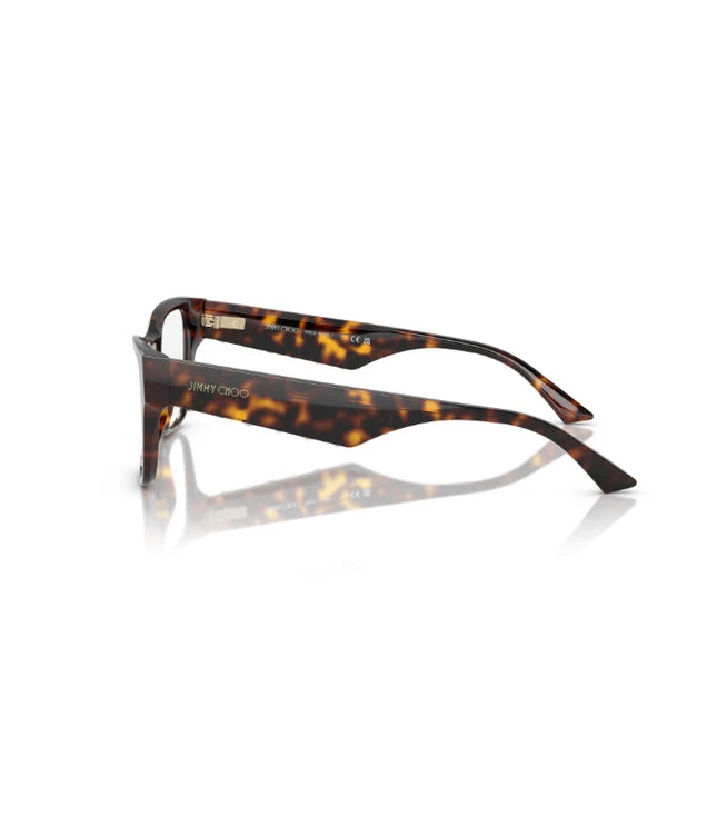Eyeglasses
