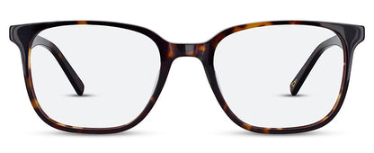 C1Tortoiseshell