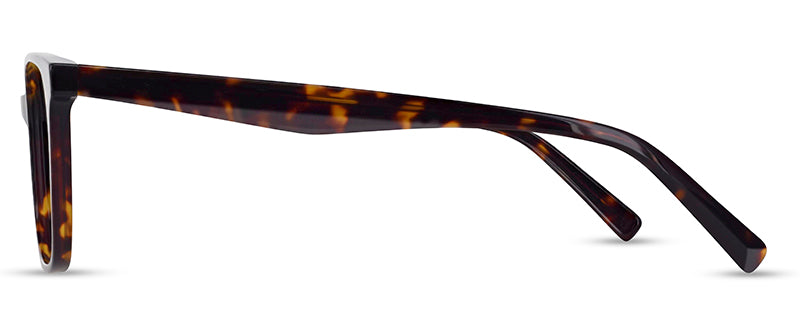 C1Tortoiseshell