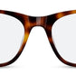 C2Tortoiseshell