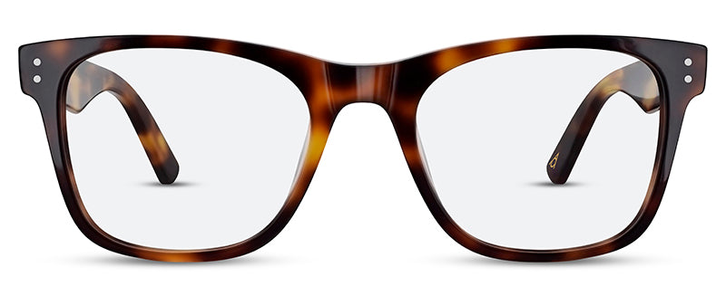 C2Tortoiseshell