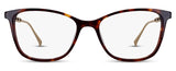 Col01Tortoiseshell