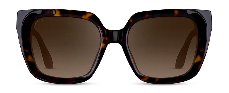 Col02Tortoiseshell