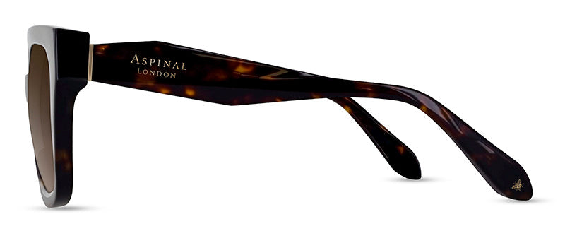 Col02Tortoiseshell