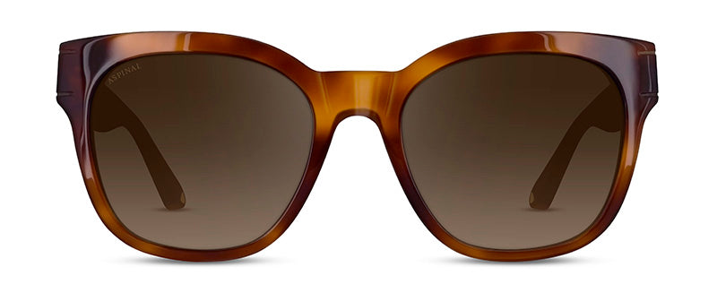 Col02HoneyTortoiseshell