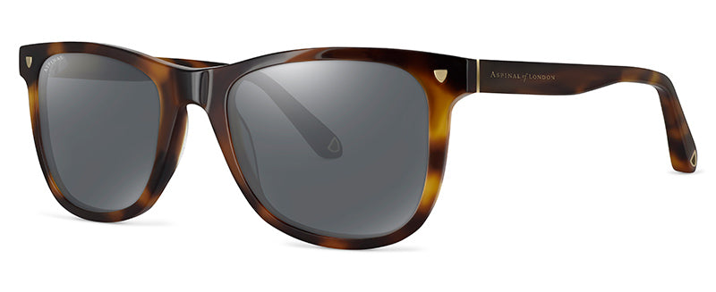 Col02Tortoiseshell