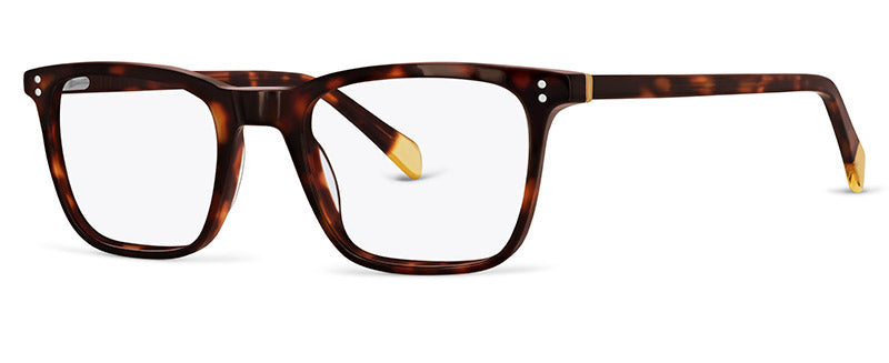 C1HoneyTortoiseshell