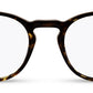 C2Tortoiseshell