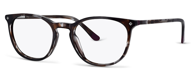 C2BlackTortoiseshell