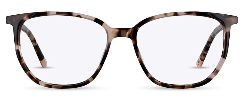 C2Tortoiseshell