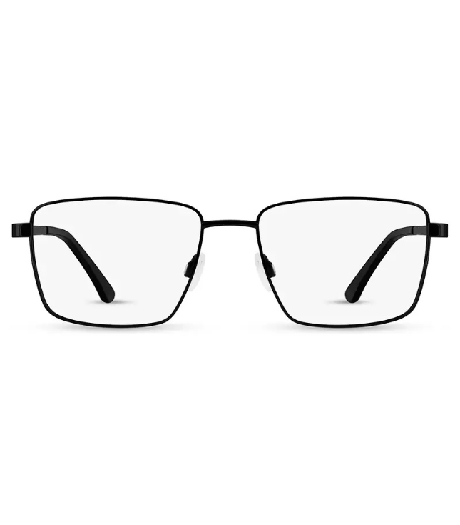 Eyeglasses